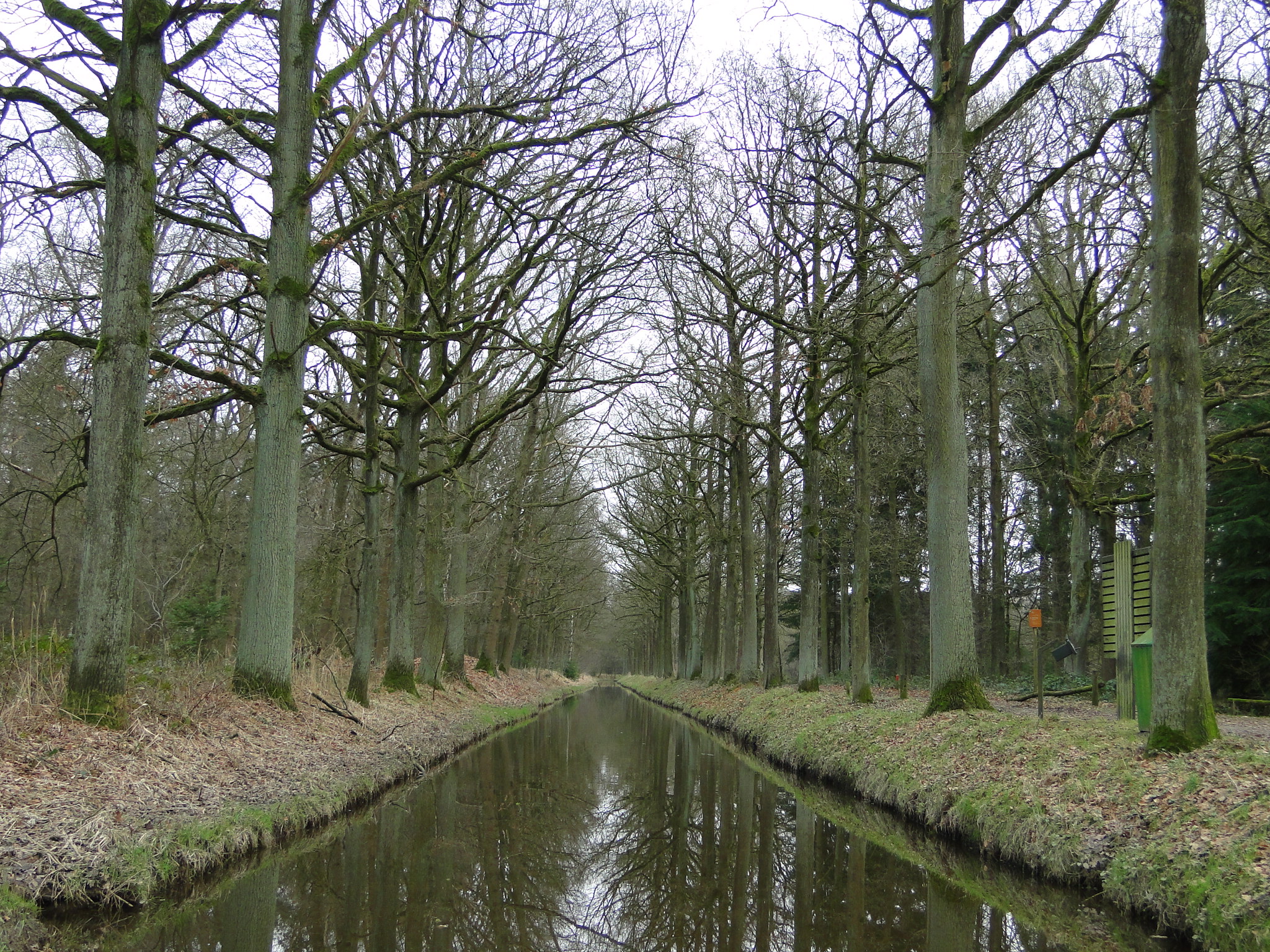 NWK 2012 036.jpg